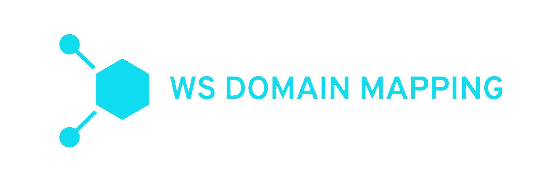WS Domain Mapping